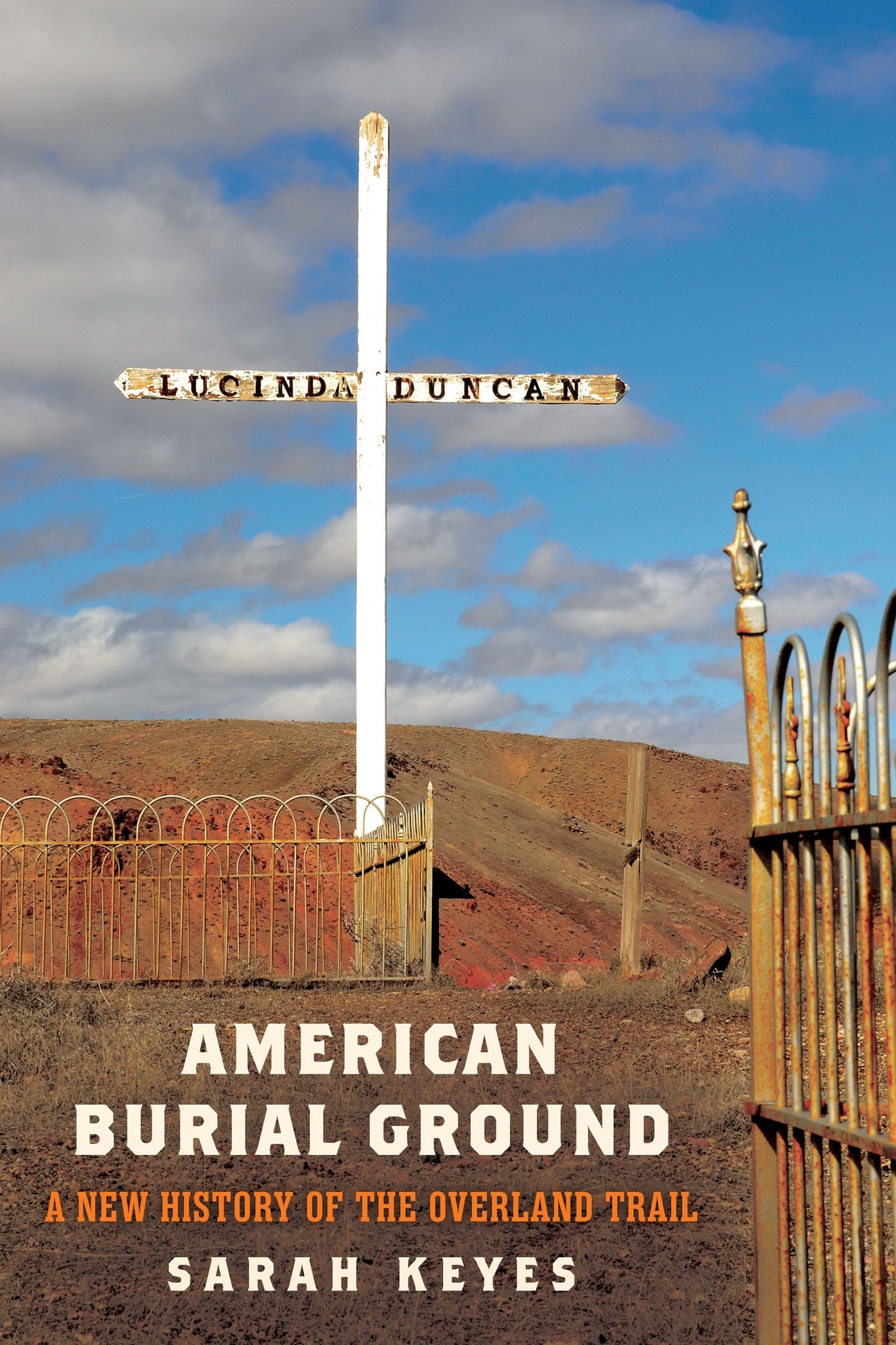 Cover image for American Burial Ground ISBN 9781512824513
